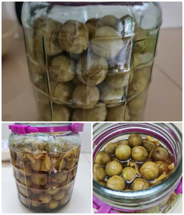 Ngâm sấu
