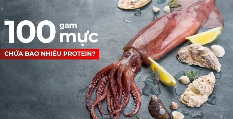 Mực bao nhiêu Protein? Giá trị dinh dưỡng tuyệt vời của mực