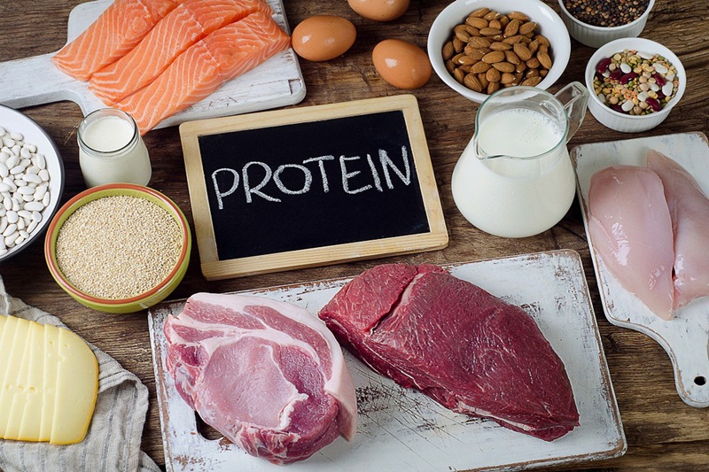 Mực là nguồn cung cấp Protein hiệu quả so với các thực phẩm khác