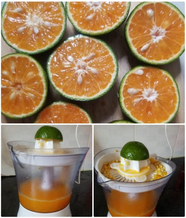 Sơ chế và ép cam