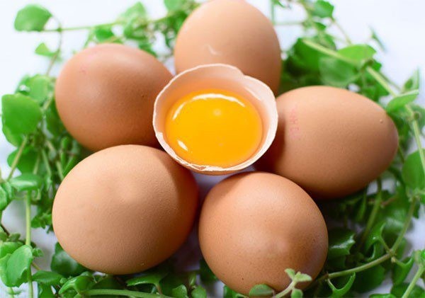 Lượng protein trong trứng gà
