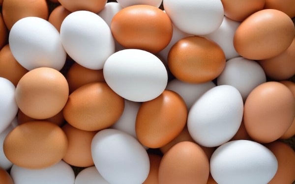 So sánh lượng protein trong trứng gà với các nguồn thực phẩm khác