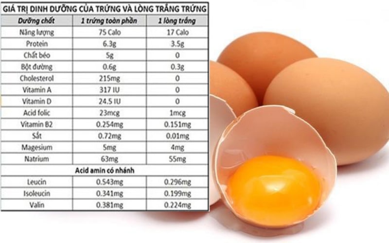 Phân tích chi tiết thành phần Protein của trứng gà