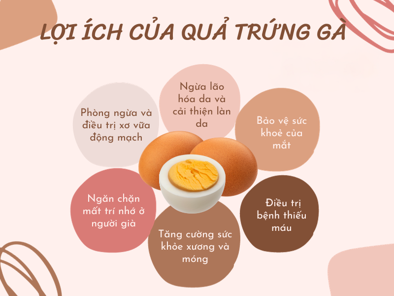 Lợi ích sức khỏe từ protein trong trứng gà