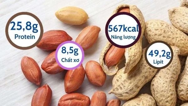 Thành phần protein trong 100g đậu phộng