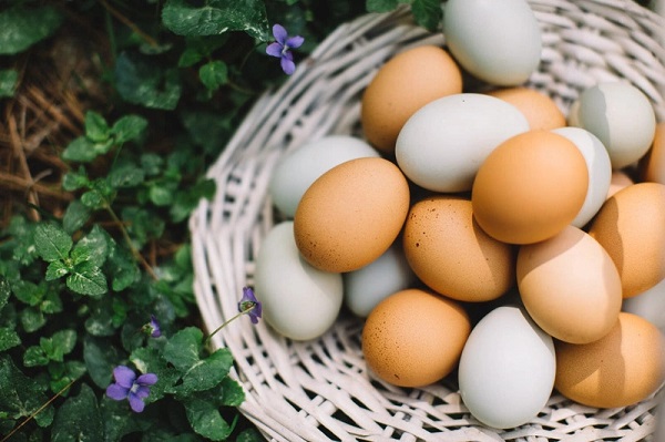 Protein trong trứng gà thuộc loại protein hoàn chỉnh