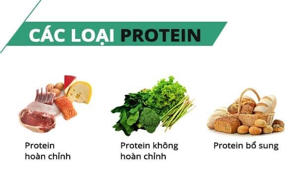 Protein được chia thành hai loại chính: hoàn chỉnh và không hoàn chỉnh