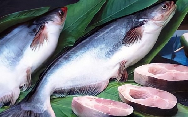 Cá basa bao nhiêu protein?