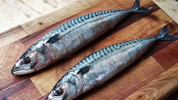 Cá thu chứa axit béo Omega-3