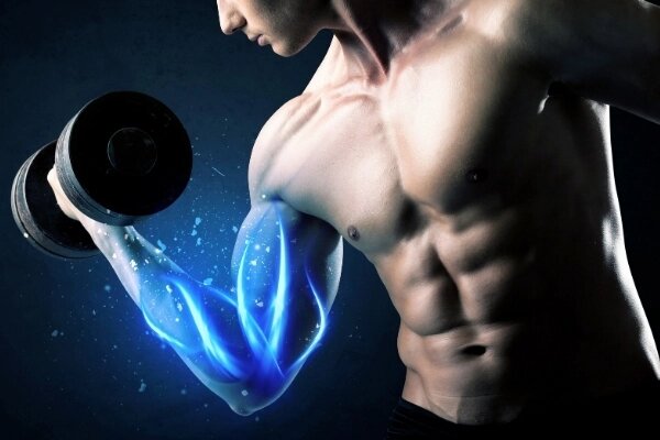 Nhu cầu protein thay đổi đáng kể dựa trên mức độ hoạt động thể chất