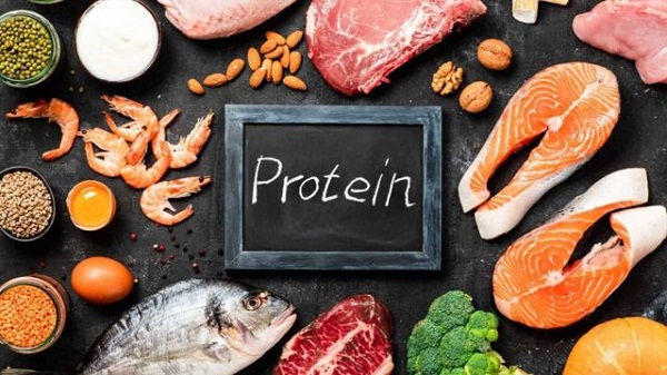 Protein động vật: nguồn protein hoàn chỉnh