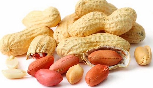100 gram đậu phộng rang chứa khoảng 25-26 gram protein