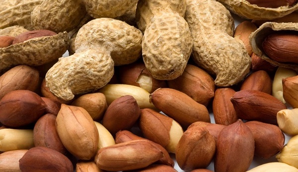 Tác dụng của protein đậu phộng đối với hệ tiêu hóa