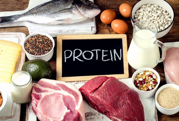 Phân bổ protein trong ngày để đạt hiệu quả tốI ưu