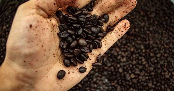 Cà phê đen có thể được coi là một loại "functional food" tự nhiên