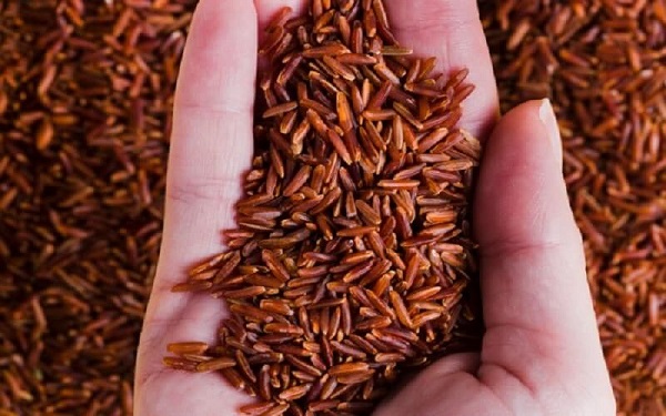100g gạo lứt đỏ nấu chín chứa khoảng 110–115 calo