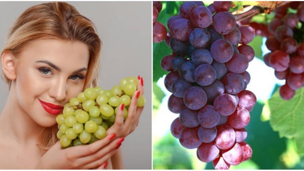 Ăn nho có tăng cân không? Cách sử dụng trong chế độ giảm cân