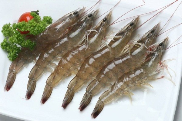 Giá trị dinh dưỡng toàn diện của tôm