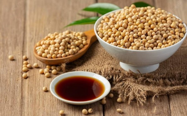 Câu hỏi thường gặp