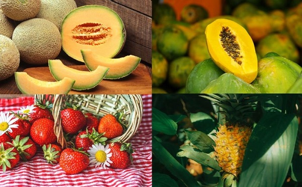 Trái cây hỗ trợ cân bằng hệ vi sinh