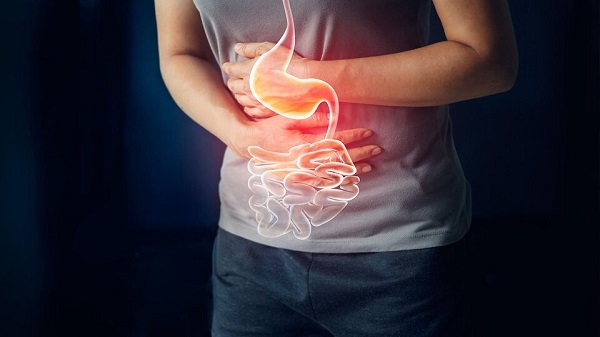 Dạ dày và các vấn đề thường gặp
