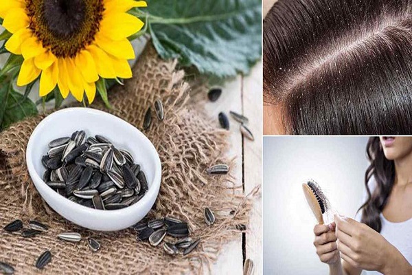 Hạt hướng dương và óc chó cung cấp nhiều lợi ích cho tóc